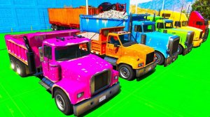 Цветные Машинки для Детей Пожарная Полицейская Скорая Помощь Мультики про Машинки и Веселые Песенки