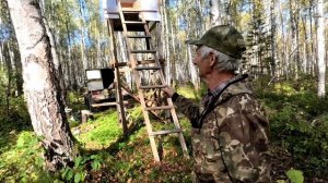 Четыре медведя. Достроил ВЫШКУ.