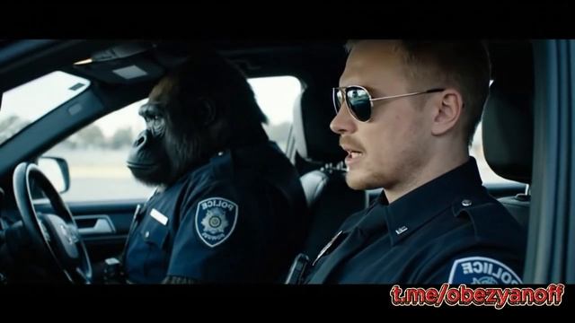 Полицейский влог №1 смотреть онлайн
