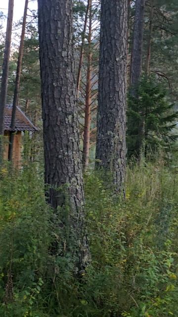 Yamaha FJR1300. МОНГОЛИЯ. Выводы