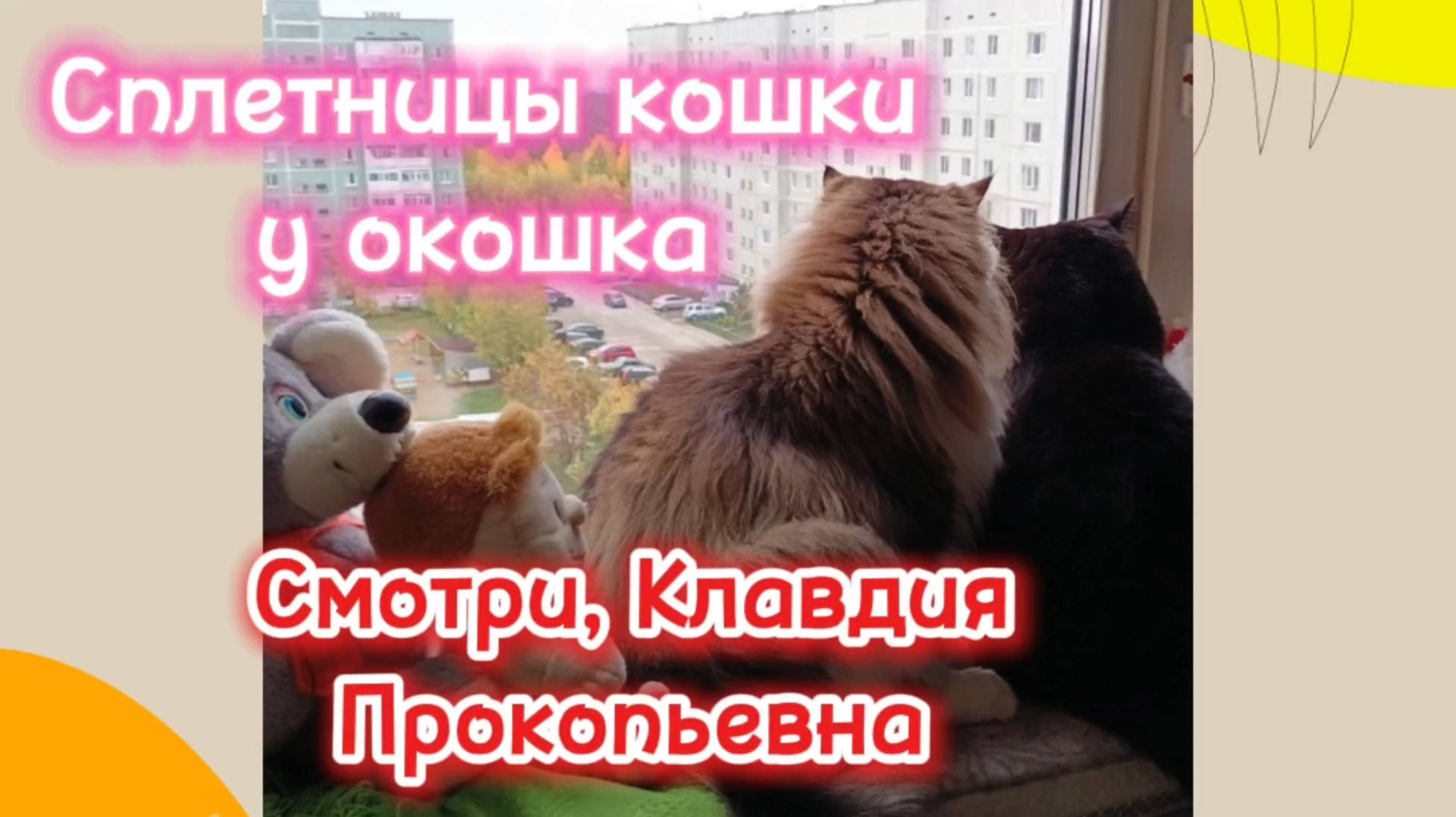 Кошки с озвучкой. смотреть онлайн