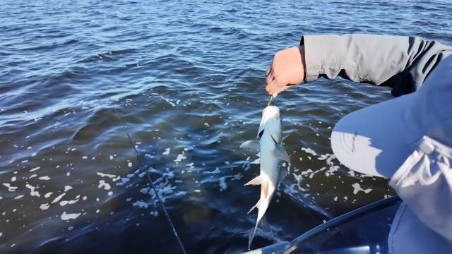 Жерех в Разнежье, часть 2. Хорошо, когда в рукаве есть 