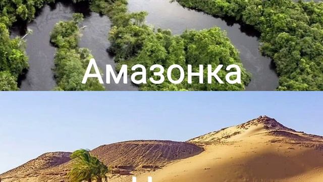 Крупнейшие реки