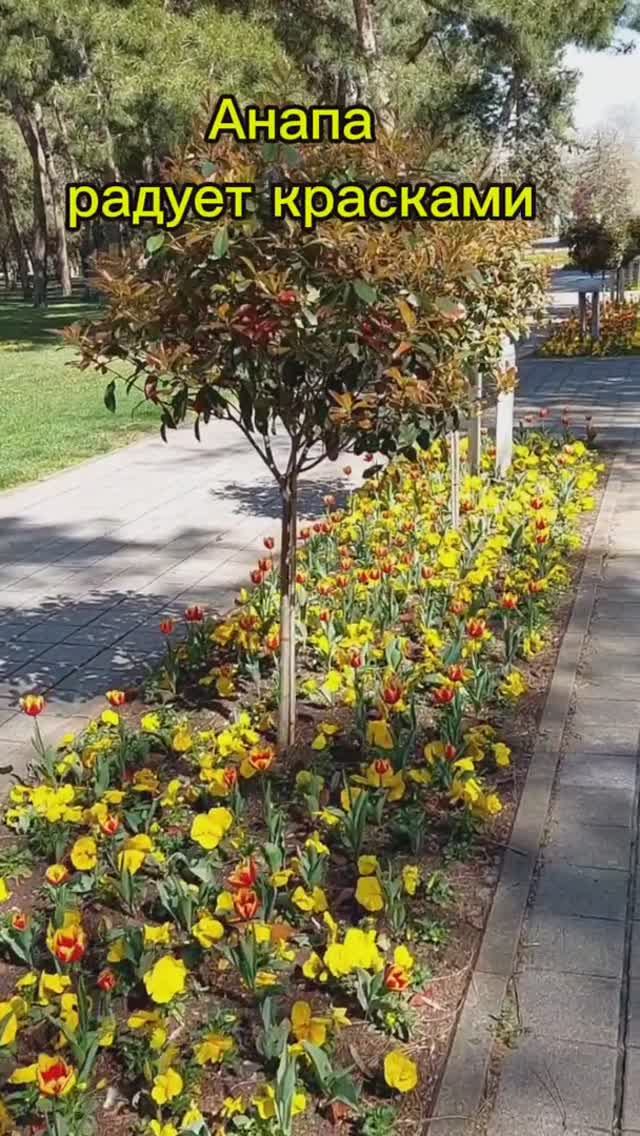 расцветает и расслабляет