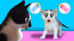 КОТ МАЛЫШ И ЕГО СЕКРЕТ! КОШКА МУРЗЯ РОДИЛА! [2017]