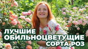 ЛУЧШИЕ ОБИЛЬНОЦВЕТУЩИЕ СОРТА РОЗ. ВЫБОР СОРТОВ РОЗ ДЛЯ ОСЕННИХ ЗАКУПОК. ОБЗОР СОРТОВ РОЗ. РОЗЫ. САД