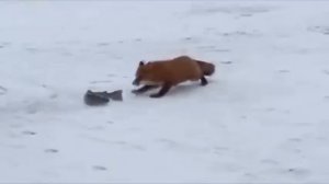 Декабрь.  Музыка Сергея Чекалина. December. Music by Sergey Chekalin