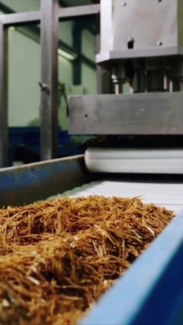 Новый герой видеопроекта «Татарстан, на старт!» – аспирантка ИХНМ Ксения Аникеева смотреть онлайн