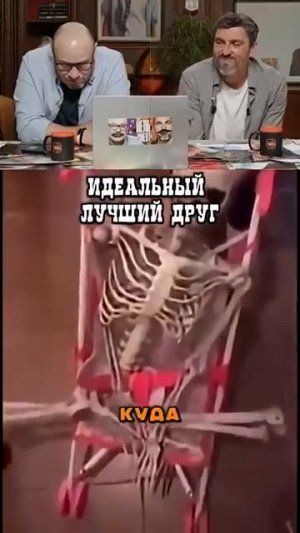 Когда мама не оценила новую компанию😂😂😂