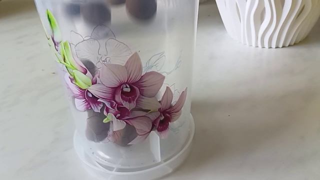 Ошибки при выращивании черенков Пеларгонии смотреть онлайн