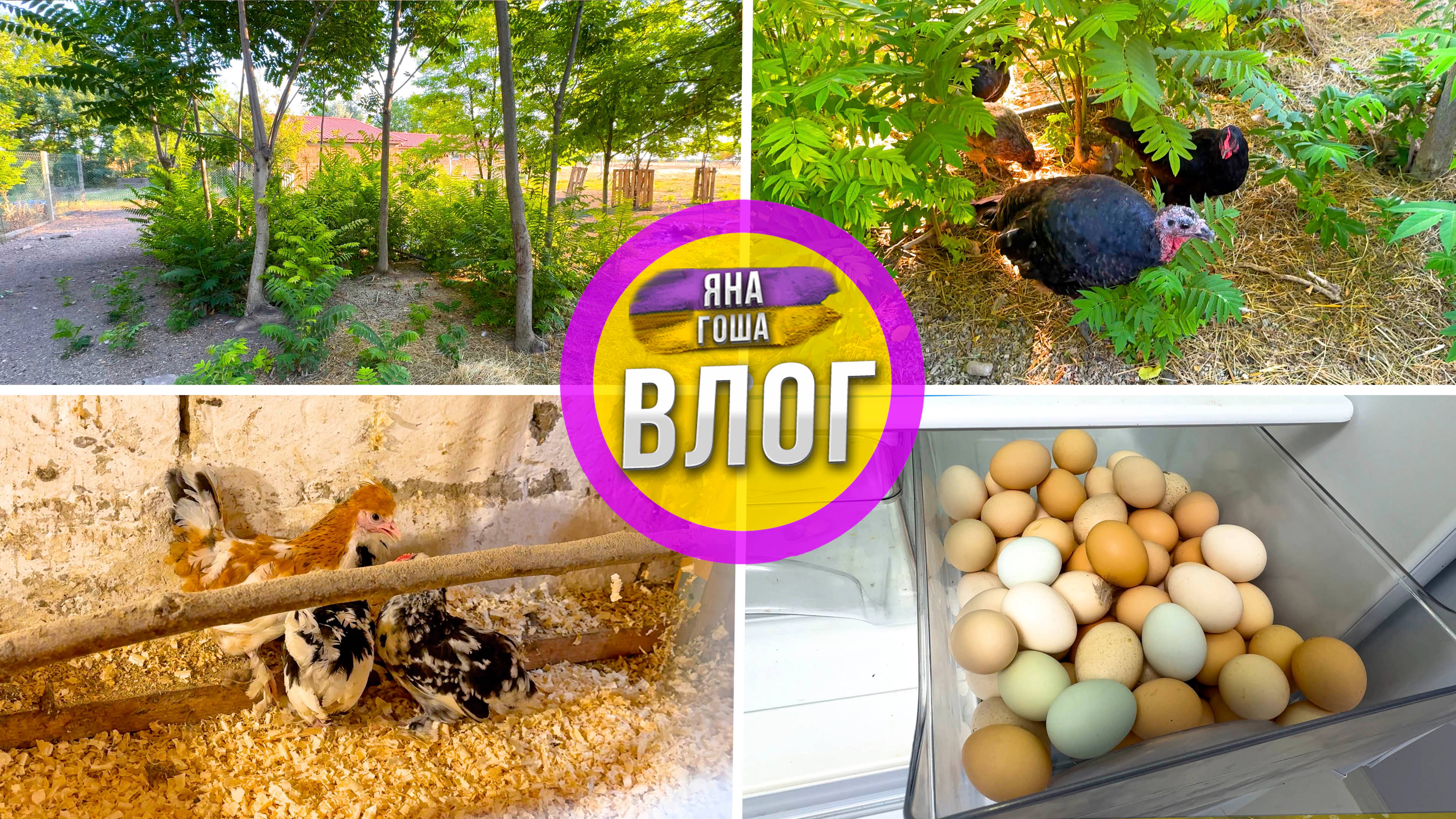 Я НЕ ЗНАЮ КТО ЭТО! Парк юрского периода у нас на ферме! смотреть онлайн