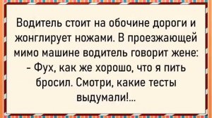 Как тёща за границей мужика искала! Сборник свежих анекдотов! Юмор