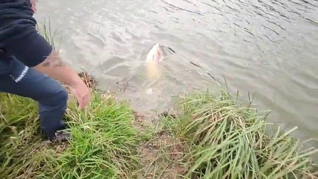 WhatsApp Video 2025-09-21 at 08.15.58 смотреть онлайн