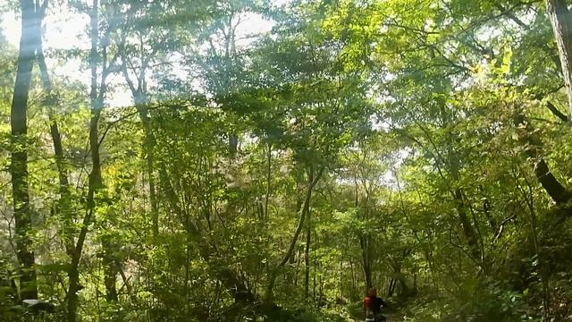 за Чандалазом