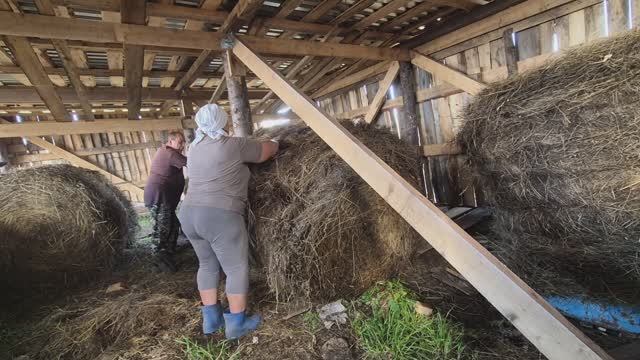 А мы продолжаем работать,катаем сено смотреть онлайн