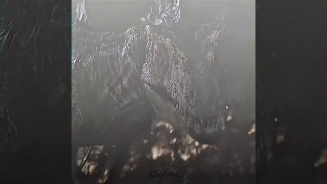 Giganotosaurus