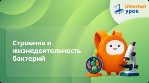 Биология 5 класс. Строение и жизнедеятельность бактерий