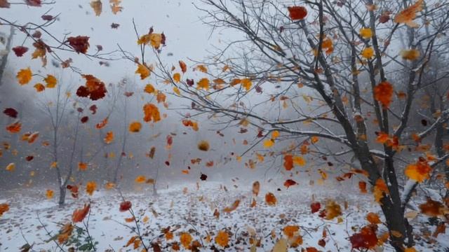 Поздняя осень смотреть онлайн