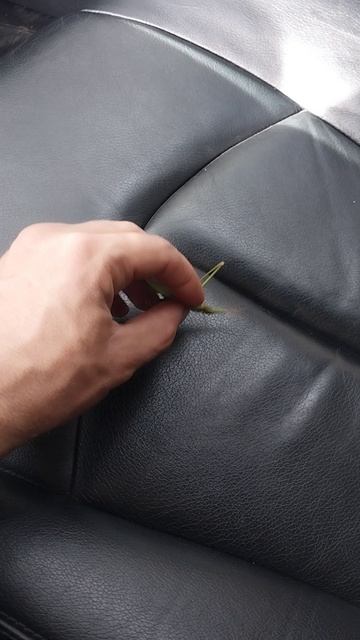 Мутант кузнечик! смотреть онлайн