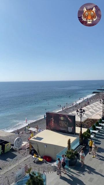 утренний Бриз #tigrvtanke#море#блогер смотреть онлайн