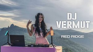 DJ Vermut | Live @ Red Ridge, Russia : Melodic Techno & Progressive House Mix
