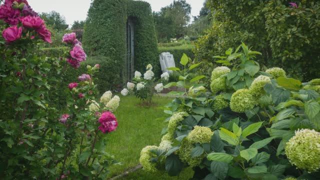 Дела дачные 5 часть смотреть онлайн