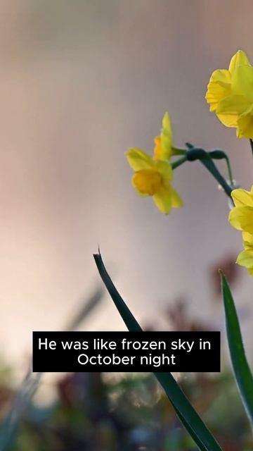 #песня #кавер #дуэт #october&april