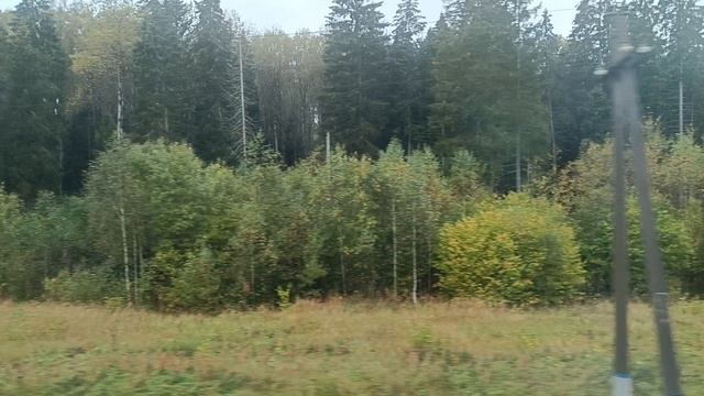 ПУТЕШЕСТВИЕ В ОСЕНЬ