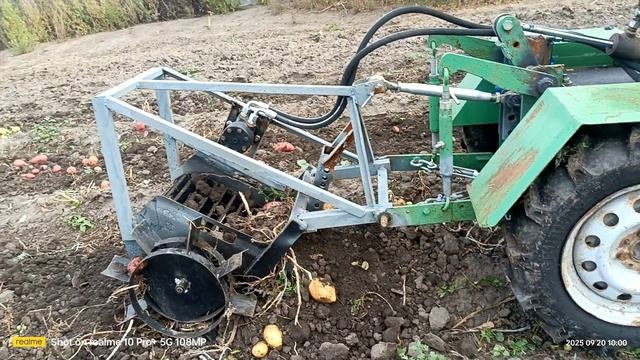 Уборка картошки 2025