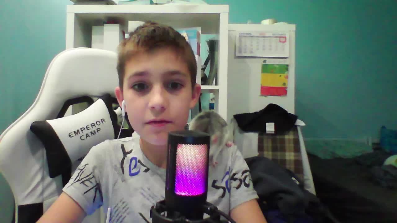 Играю с подписчиками