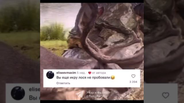 Осёл,олень и чайка.Комментарии как отдельный вид искусства. смотреть онлайн