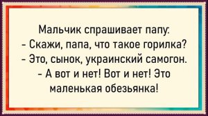 Как Вовочка не успел вытащить! Сборник свежих анекдотов! Юмор