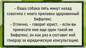 От этого девушка. Сборник свежих анекдотов! Юмор