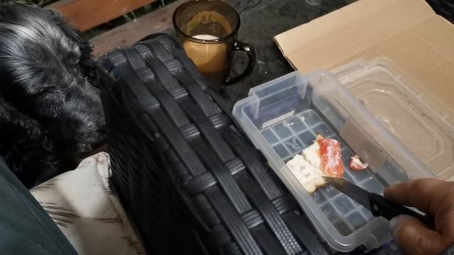 СОЧИ ГОРНОЕ ЛОО УТРО 21.09.2025 смотреть онлайн