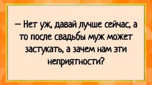 Девушке в парке засандалили в зад! Сборник острых анекдотов! Юмор