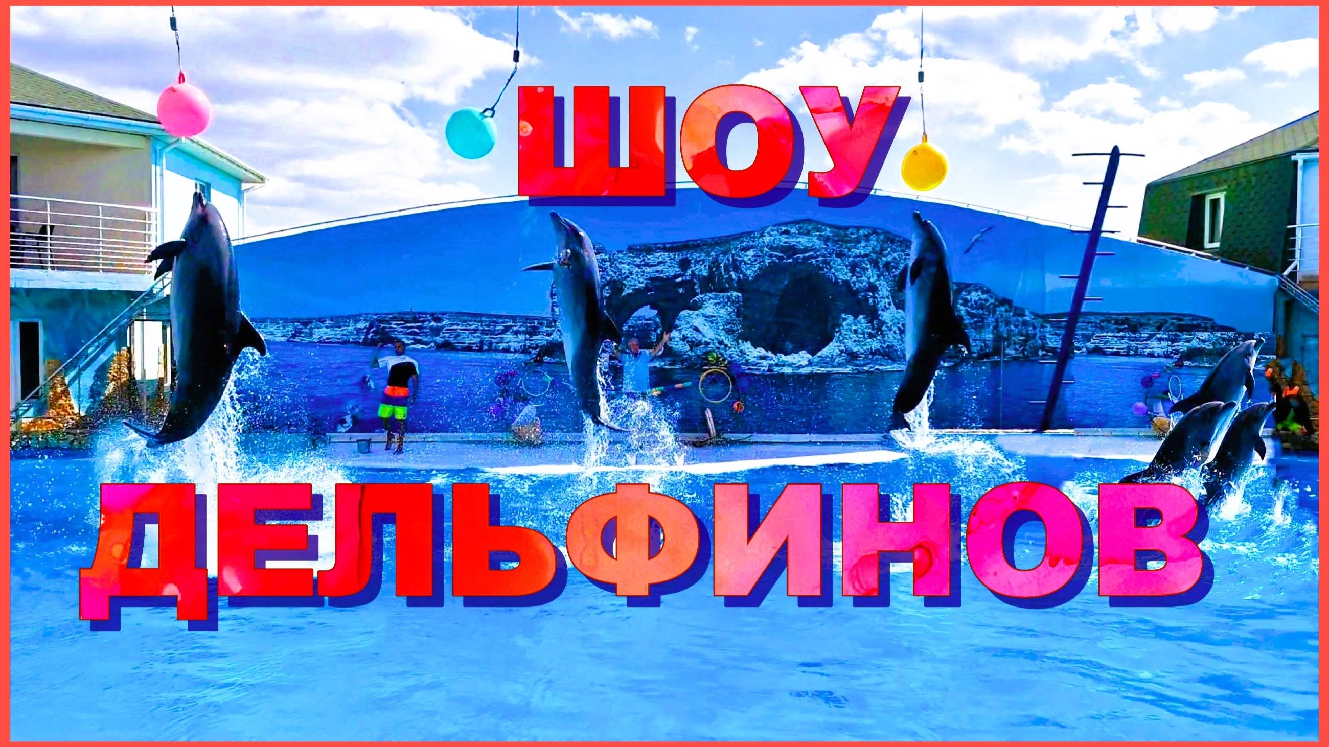 Поотрясающее шоу в дельфинарии на мысе Тарханкут. Крым смотреть онлайн