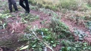 Мопеды сериал | Серия 1627