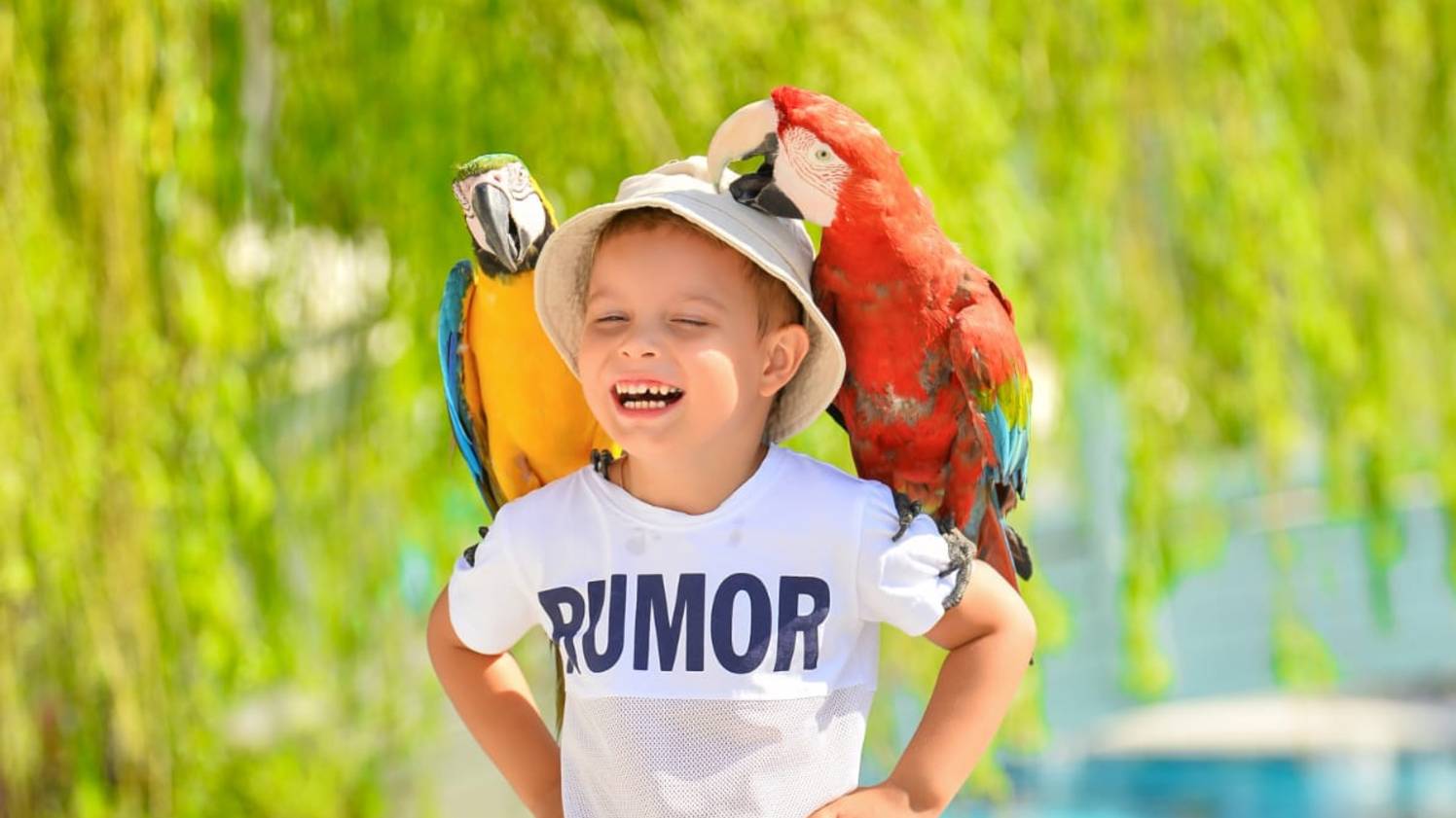 Турция часть 4 Акулы и танцы