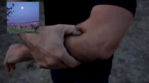 Точки для управления телом Помогают  в оздоровлении организма ,снятию болей и плохих состояний