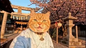 приключение рыжего кота 9 серия