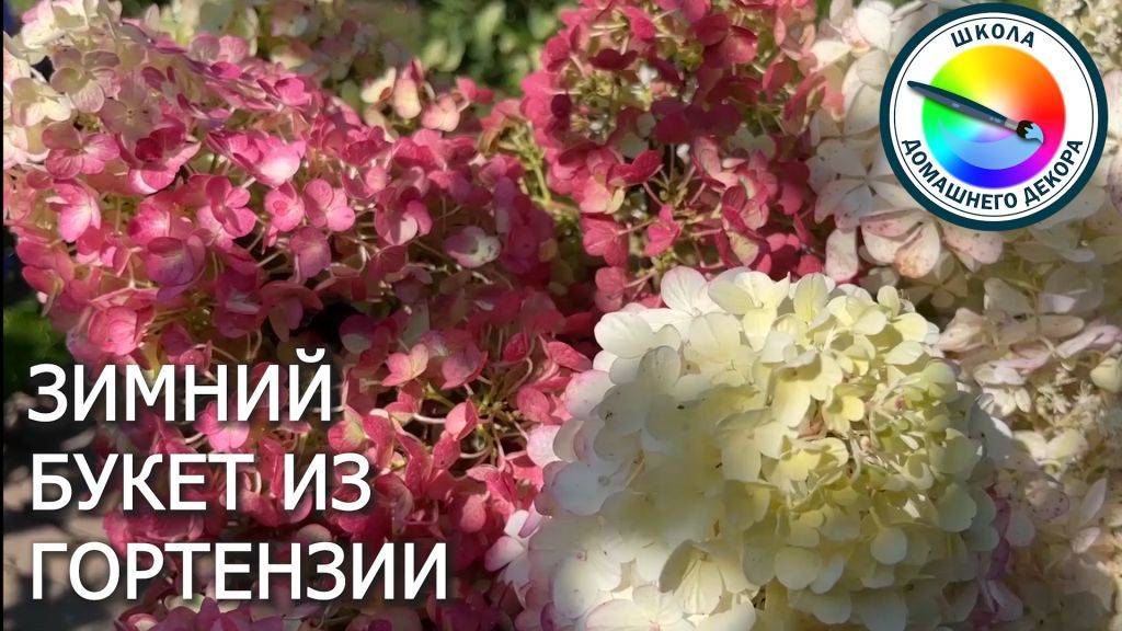 Как сделать зимний букет из гортенщии смотреть онлайн
