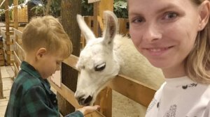 vlog 🍂 БАНАНОВЫЕ ВАФЛИ🧇/ 🦙 АЛЬПАКИ ВМЕСТО ОЖИДАНИЯ / ЧТО ЗА БРЕЙНРОТ?