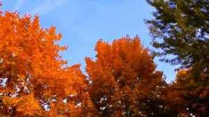 Елена Карпук. Во всём виновато бабье лето. слова Татьяны Самаль.