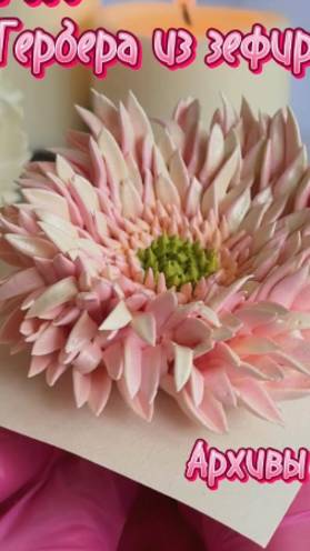 Мой прошлогодний МК Гербера Игольчатая из зефира 🌸 смотреть онлайн