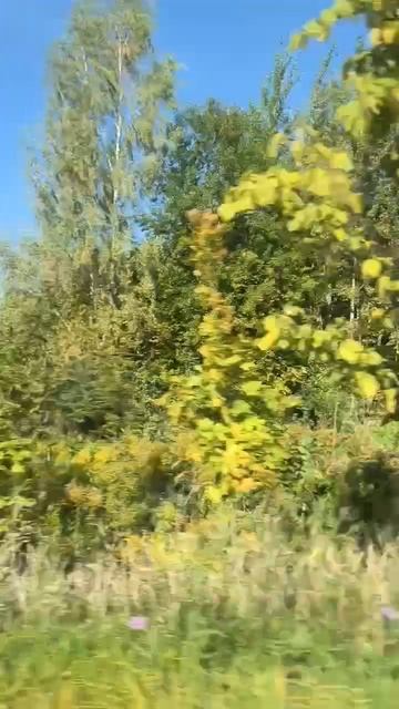 По дороге смотреть онлайн