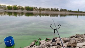 Фидерная рыбалка на ВДСК. Волжанка optima evo pro в деле.