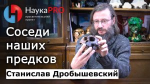 Соседи наших предков: мирные и опасные – Станислав Дробышевский | Лекции по антропологии | Научпоп