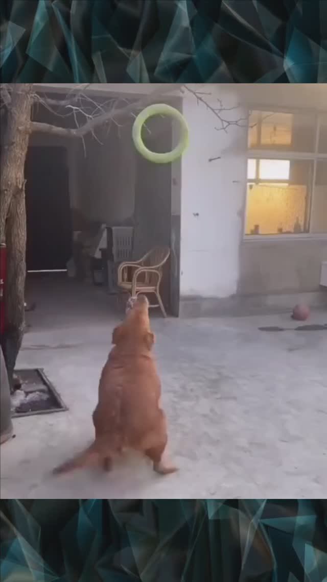 Не надо прыгать, надо думать смотреть онлайн