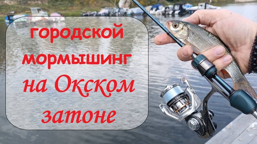 городской мормышинг на Окском затоне смотреть онлайн
