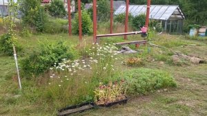 Продажа для авито